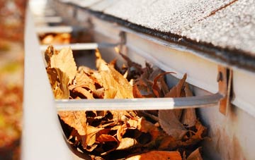 Varchoel gutter cleaning companies
