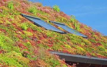 Varchoel living roof systems