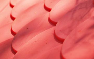 Varchoel plastic roof costs