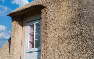 Varchoel thatch roof disadvantages