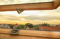 rated Varchoel roof window companies